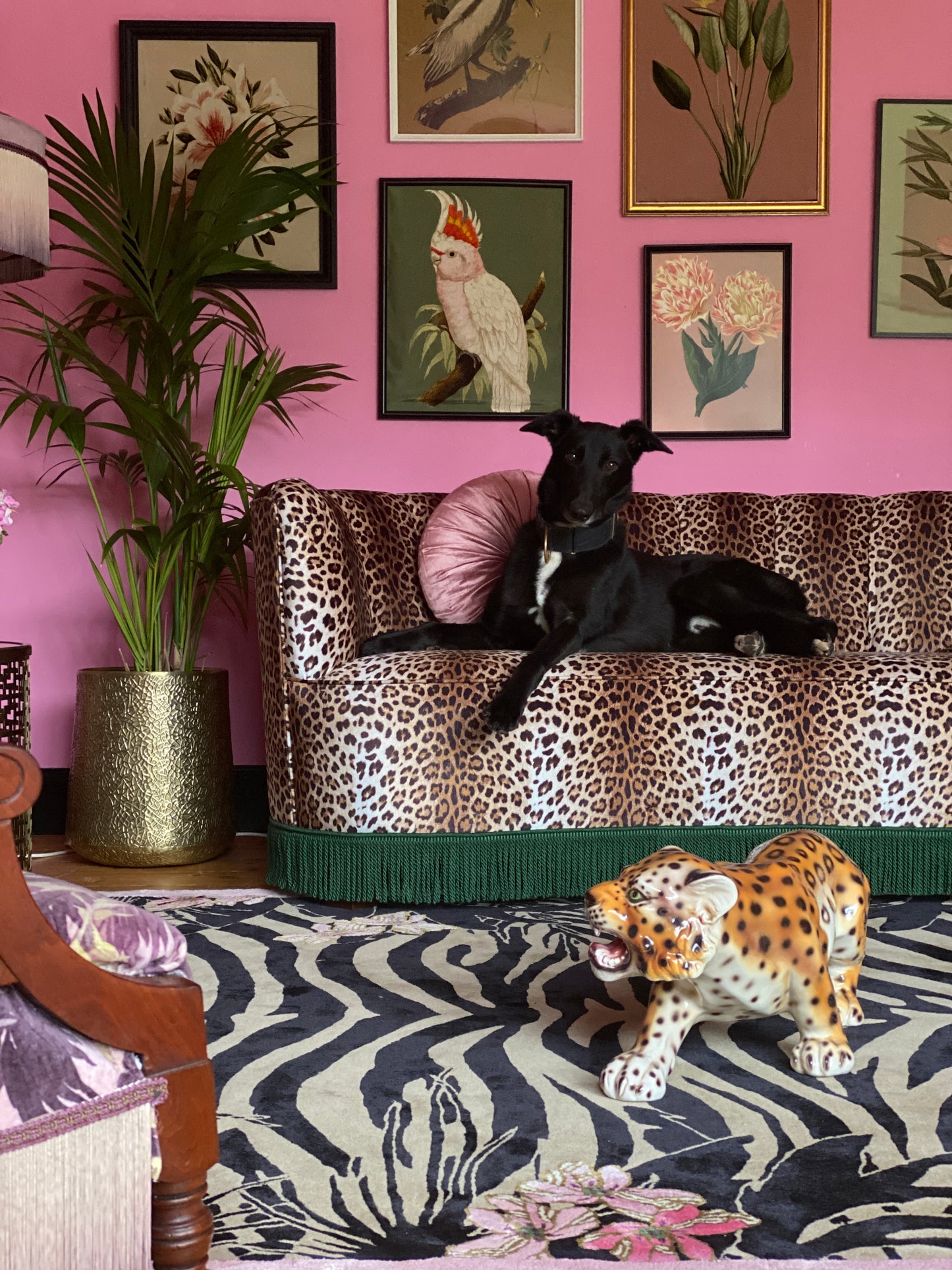 Tiger Florals - Hand Tufted Rug