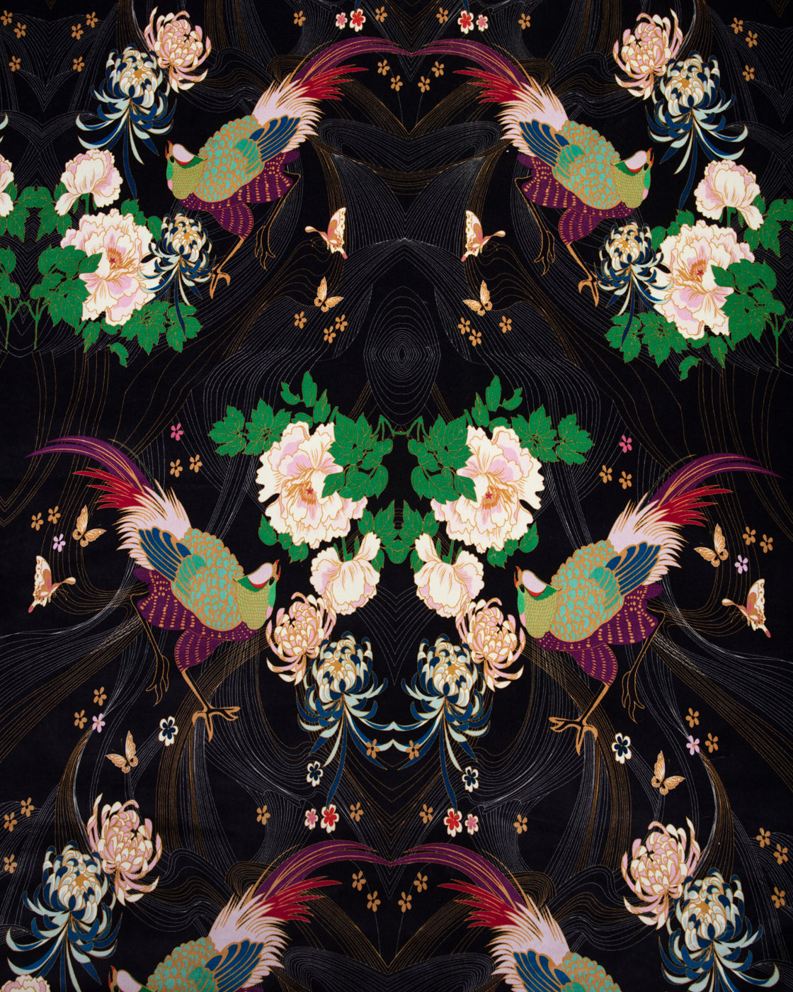 Phoenix Black Velvet Fabric